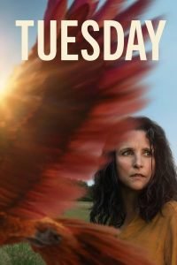 tuesday-hollywood-movie-200x300